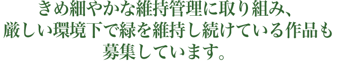 きめ細やかな維持管理に取り組み、厳しい環境下で緑を維持し続けている作品も募集しています。