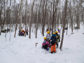 特定非営利活動法人北海道森林ボランティア協会　子どもたちが学ぶ北の里山づくり02