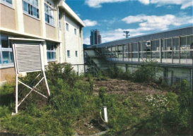 広島市立緑井小学校　モリアオガエルの暮らす水辺の植物ガーデン02