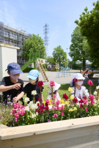 NPO法人緑のきずなプロジェクト　花園公園 レイズドベッド プロジェクト02