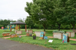新潟県立島見緑地聖籠緑地　指定管理者（株）日建緑地　みんなの花壇プロジェクト02