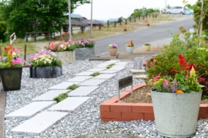 群馬県立富岡実業高等学校　草花部　富岡の歴史に触れる庭プロジェクト02
