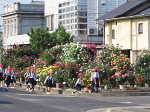 福山市　ばらのまち福山「ばらの花いっぱい運動」02