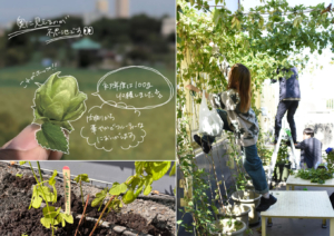 しのばずホッププロジェクト／
東京大学大学院都市デザイン研究室　しのばずホッププロジェクト02