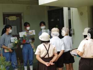 奈良県立磯城野高等学校
理科部Ｆｌｏｗｅｒｓ　蝶ハッピー、みんなハッピー花壇03