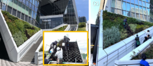 森ビル㈱/㈱久米設計/㈱タウンスケープ研究所/㈱グリーン・ワイズ/鹿島建設㈱/イビデングリーンテック㈱/㈱日比谷アメニス　虎ノ門ヒルズステーションタワー・グラスロック・江戸見坂テラス