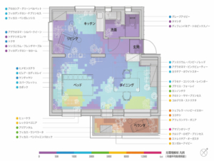 手づくり建築工作舎　おうち植物園