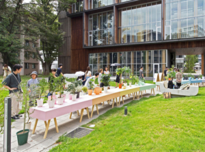 手づくり建築工作舎　おうち植物園