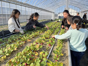 京都府京田辺市/東レ建設グループ(東レ建設㈱・京阪園芸㈱・東洋コミュニティサービス㈱)/(一社)京田辺みんなの働くプロジェクト 田辺公園を活用した障がいのある人の自立支援について03