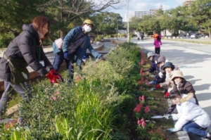 大濠公園ガーデニングクラブ　大濠公園ガーデニングクラブ花壇づくり02
