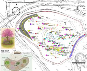七北田公園活性化協議会 ７DAYS,Peace.　「結びの丘」～地域と未来を結ぶ　桜の名所～02