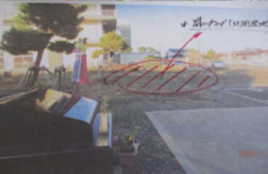 ゆりりん愛護会　ゆりあげ・浜辺の花壇02