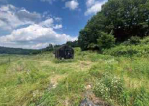 一般社団法人やさび　春夏秋冬　素材のやま庭03