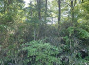 学校法人弘道学園　秩父こども園　地域の笑顔が広がるリサイクルファーム02