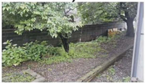 嵐電沿線協働緑化プロジェクト　電車で拡がる地域コミュニティ「駅庭」03